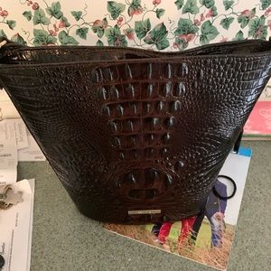 Brahmin QUINN COCOA MELBOURNE